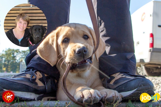 Découvre la formation d'élève éducateur de chiens guides avec Fanny Grimaud !