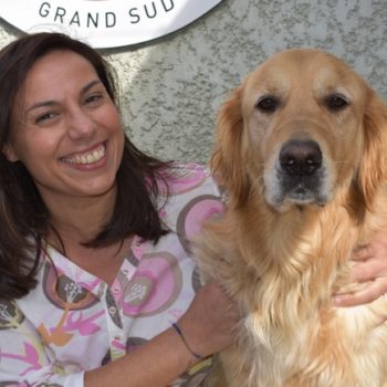 Logo Être comptable dans une association, c’est quoi ? Interview de Nathalie, chez Les Chiens Guides d’Aveugles Grand Sud Ouest