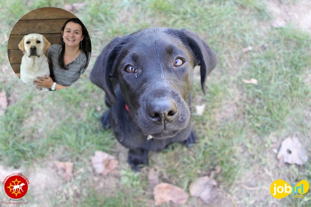 Logo D’éducatrice à directrice technique, rencontre Magali de l’association « Chiens Guides d’Aveugles Grand Sud Ouest »