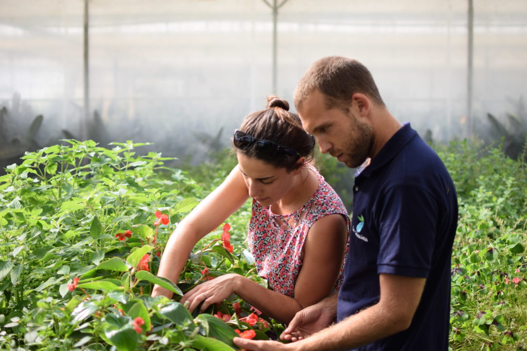 marion et son mari dans leur ferme hyrdoponique les sourciers