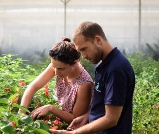 Logo Marion a fondé les Sourciers, une ferme hydroponique, et prouve la légitimité des filles dans le secteur agricole