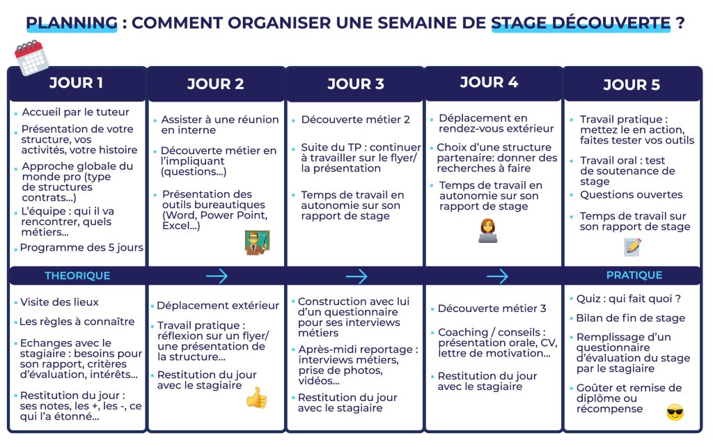 planning type stage 3ème