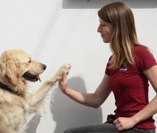 Logo Métier d’éducateur canin : 24h avec Marion