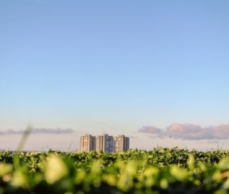 Logo L’économie verte :  chiffres clefs sur les métiers qui recrutent dans ce secteur