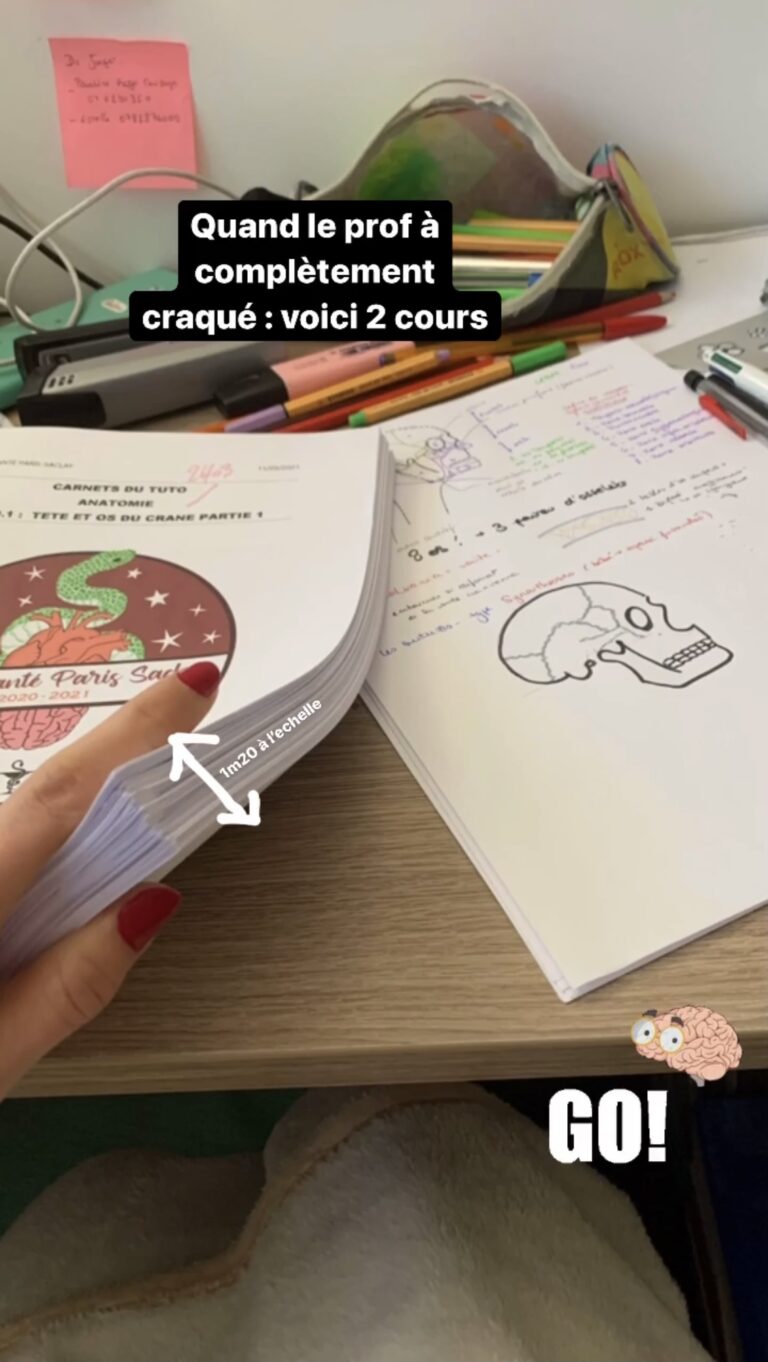 Pass : découvrez mes cours de cette 1ère année !