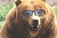 ours ours