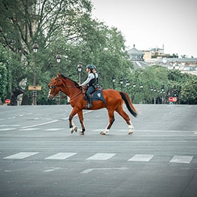 Policier en brigade équestre