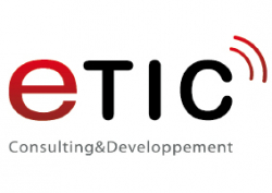 Etic Consulting