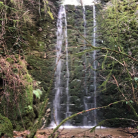 Photo de Élisa  B.