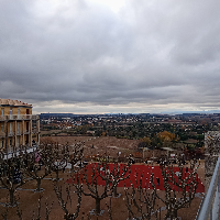 Photo de Ilana B.
