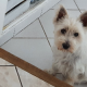 Photo de 